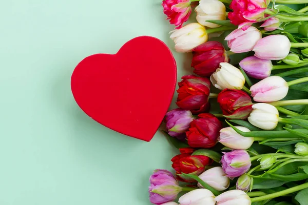 Tulipany świeże kwiaty z sercem — Zdjęcie stockowe