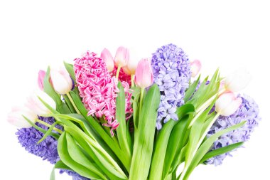 Sümbül taze çiçekler