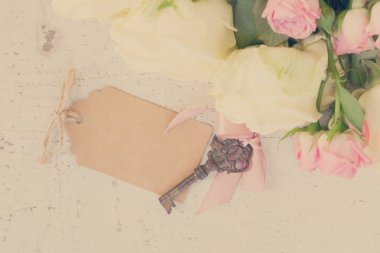 Pembe ve beyaz çiçek açan güller