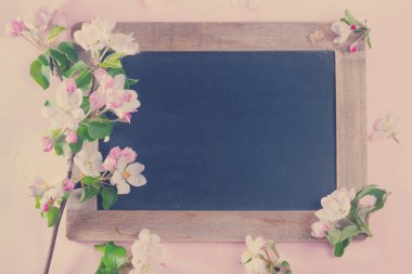 Bahar ağacı çiçekleri