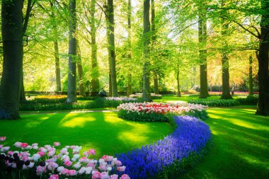 Çiçekli taze çimen