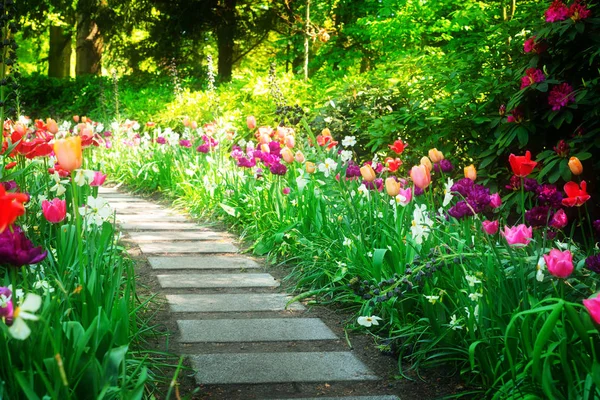 Jardín de primavera formal — Foto de Stock