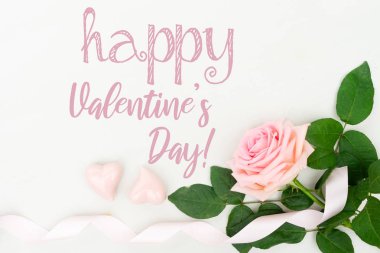 taze gül çiçekleri