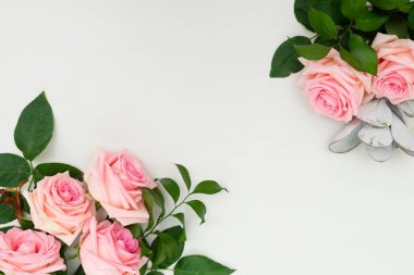 taze gül çiçekleri