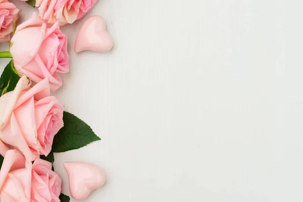 Φρέσκα άνθη τριαντάφυλλου — Φωτογραφία Αρχείου