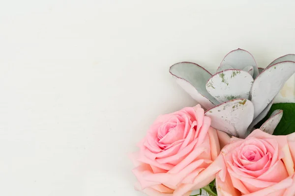 新鮮なバラの花 — ストック写真