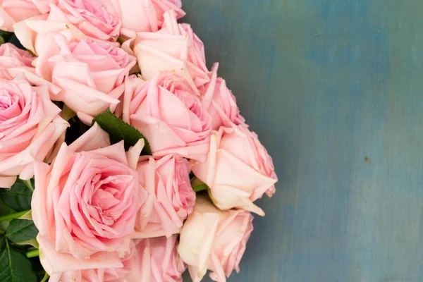 Ροζ ολόφρεσκα τριαντάφυλλα — Φωτογραφία Αρχείου