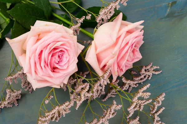 Fresh rose flowers — Stock Photo, Image