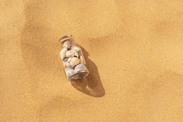 Seashells on summer beach — Stock Photo, Image