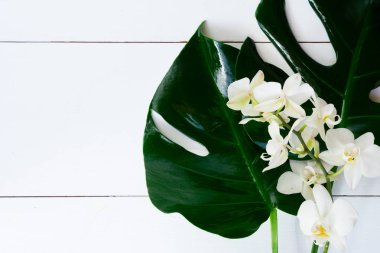 Yaz düz sahne beyaz tahtalar üzerinde yatıyordu.