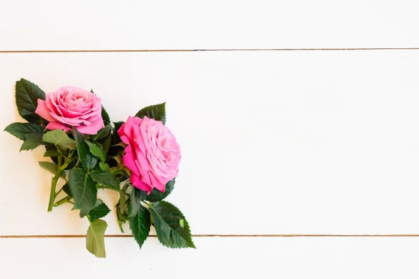 Flores de rosa frescas — Foto de Stock