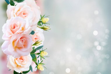 Pembe çiçek açan güller