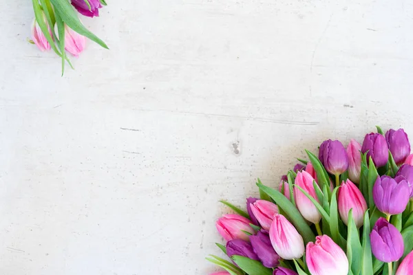 Pink fresh tulips — Stock Photo, Image