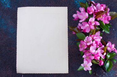 Bahar ağacı çiçekleri