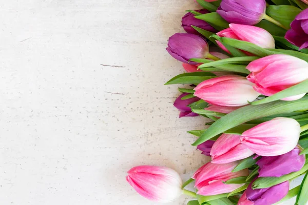 Roze verse tulpen — Stockfoto