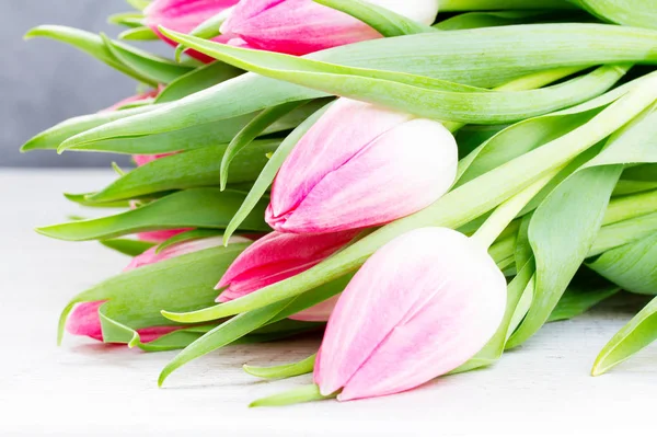 Čerstvé růžové tulipány — Stock fotografie