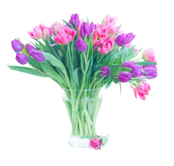 Pink fresh tulips — Stock Photo, Image