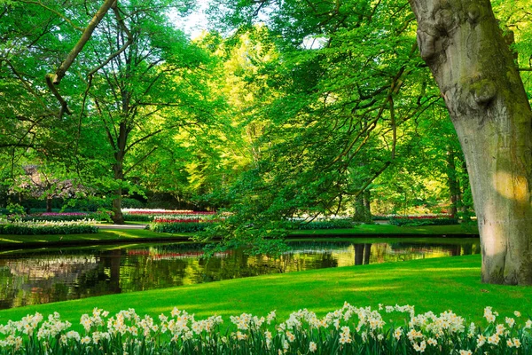 Estanque de primavera en el parque — Foto de Stock