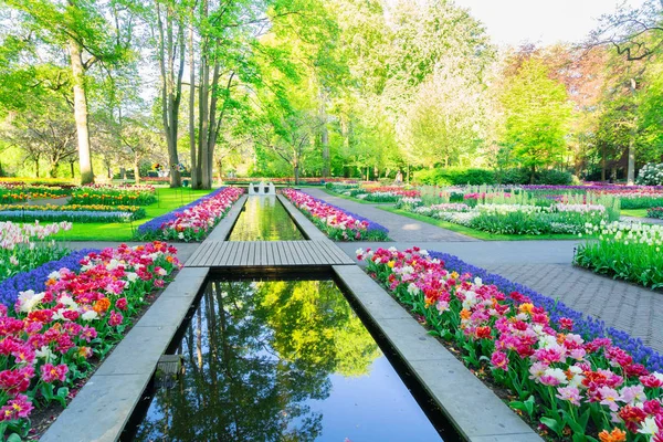 Staw wiosenny w parku — Zdjęcie stockowe