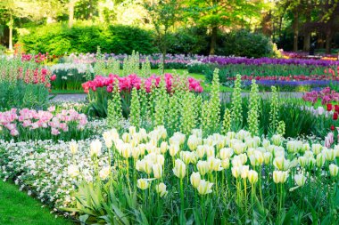 Çiçekli taze çimen