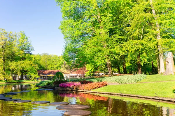 Estanque de primavera en el parque —  Fotos de Stock