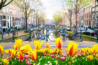 Amsterdam Kanalı 'nın yanında turuncu bisiklet