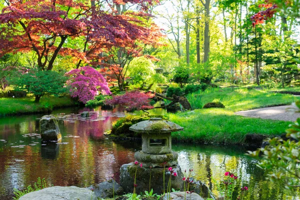 Jardín japonés en La Haya — Foto de Stock