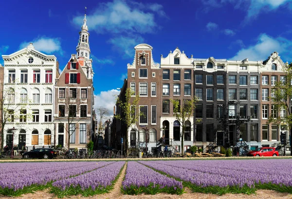 Domy Amstardam, Holandia — Zdjęcie stockowe