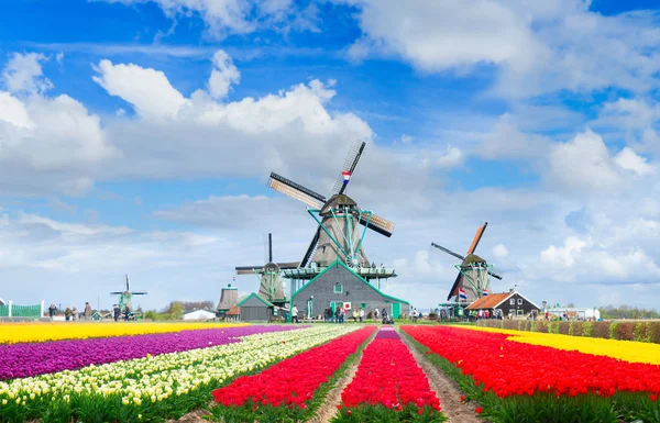 네덜란드 의풍 차 — 스톡 사진