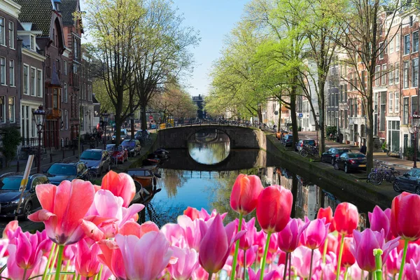 Houses of Amsterdam, Netherlands — Stock Photo, Image