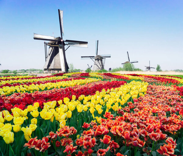 ветряная мельница над речными водами