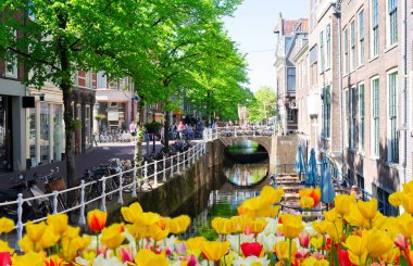 Hollanda'da Delft eski şehir