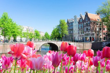 Hollanda, Amstardam 'ın Evleri