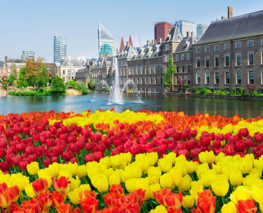 Binnenhof - Hollanda Parlamentosu, Hollanda