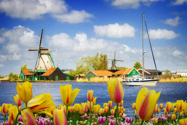 Moinhos de vento holandeses sobre o rio Zaan — Fotografia de Stock