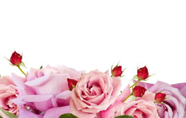 Pembe çiçek açan güller