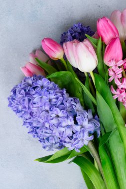 Sümbül taze çiçekler