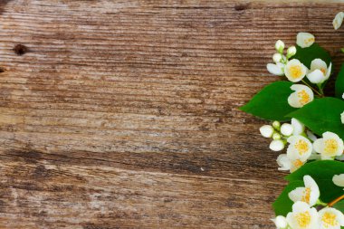 Sahte turuncu çiçekler