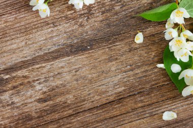 Sahte turuncu çiçekler