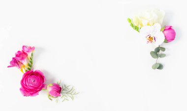 Çiçeklerin düz konumu