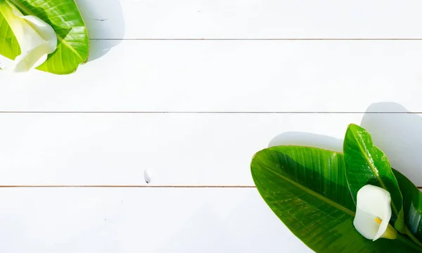 Sommar platt låg natur på whiteboardtavlor — Stockfoto