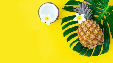 Yaz düzlüğü manzarası