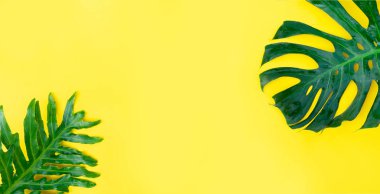 Yaz düzlüğü manzarası