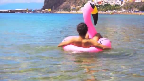 Fenicottero rosa sulla spiaggia — Video Stock