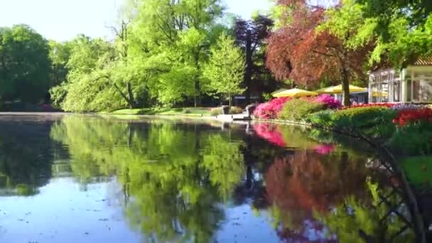 Lagoa de primavera no parque — Vídeo de Stock