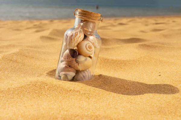 Seashells on summer beach — Stock Photo, Image