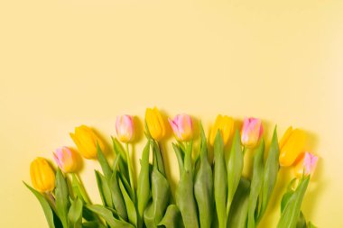 Renkli yumurtalarla Paskalya sahnesi