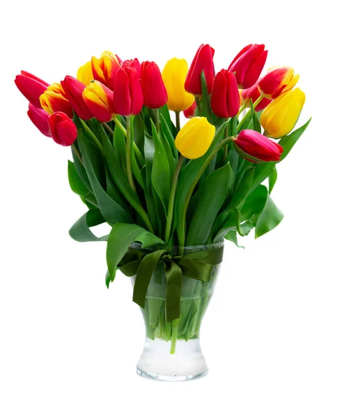 Flores de tulipas frescas — Fotografia de Stock