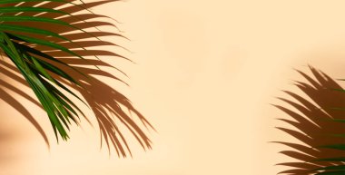 Yaz düzlüğü manzarası