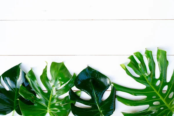 Summer flat lay scenery on white boards — Stock Photo, Image